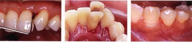 16.webp.jpg 16.webp.jpg