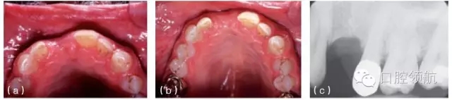 7.webp.jpg 7.webp.jpg