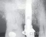 9.webp.jpg 9.webp.jpg