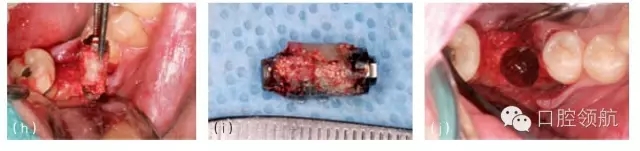 12.webp.jpg 12.webp.jpg