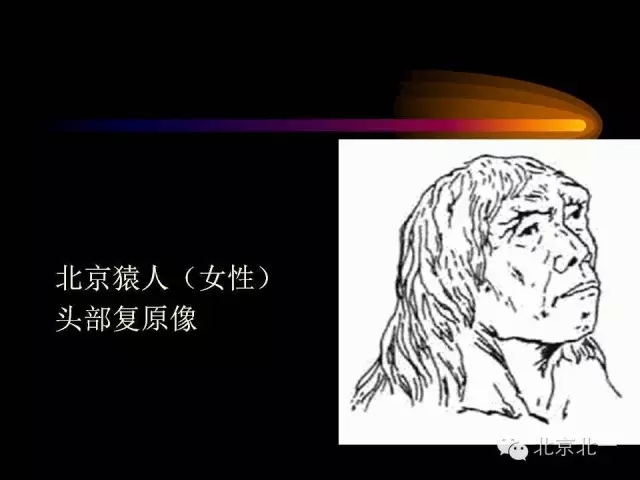 18.webp.jpg 18.webp.jpg