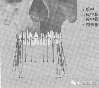 1.webp.jpg 1.webp.jpg