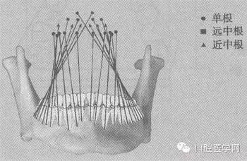 3.webp.jpg 3.webp.jpg