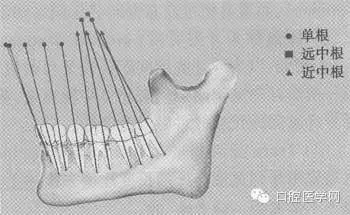 4.webp.jpg 4.webp.jpg