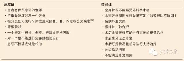 61.webp.jpg 61.webp.jpg