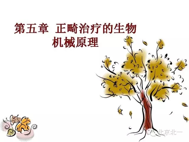 1.webp.jpg 1.webp.jpg