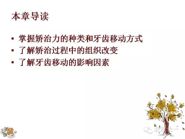 2.webp.jpg 2.webp.jpg