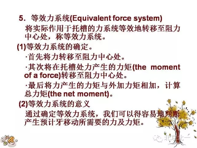 11.webp.jpg 11.webp.jpg