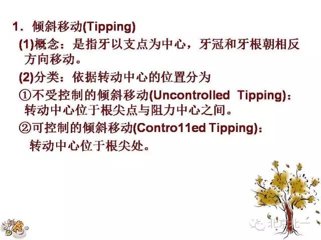 13.webp.jpg 13.webp.jpg