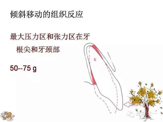 14.webp.jpg 14.webp.jpg