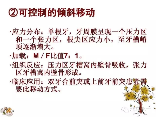 17.webp.jpg 17.webp.jpg