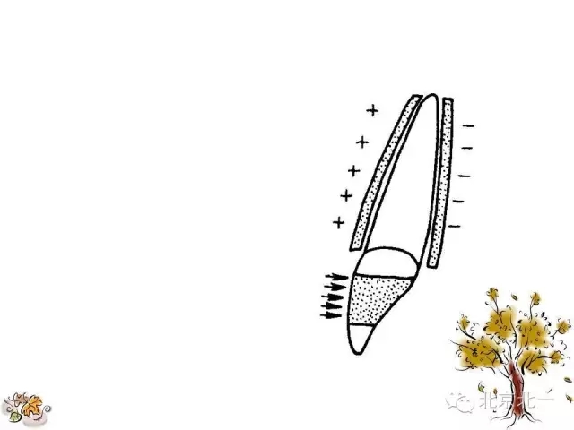 21.webp.jpg 21.webp.jpg