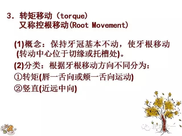 22.webp.jpg 22.webp.jpg