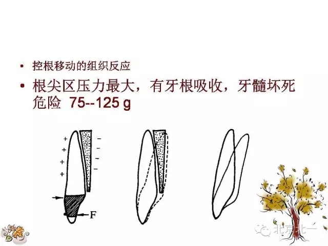 25.webp.jpg 25.webp.jpg