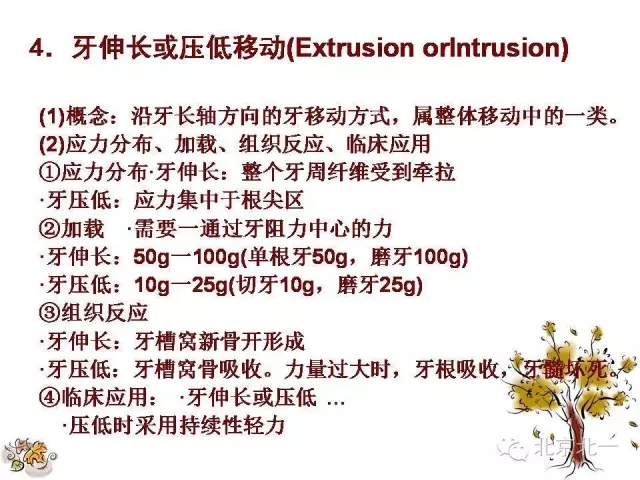 26.webp.jpg 26.webp.jpg