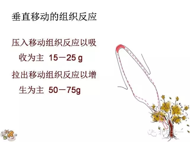 27.webp.jpg 27.webp.jpg