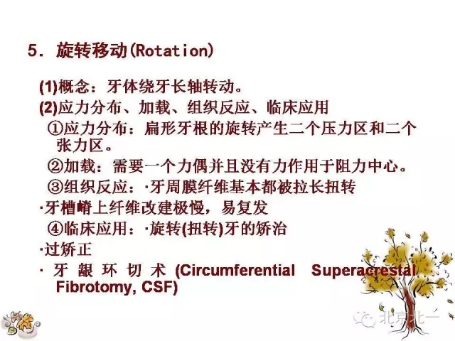 28.webp.jpg 28.webp.jpg