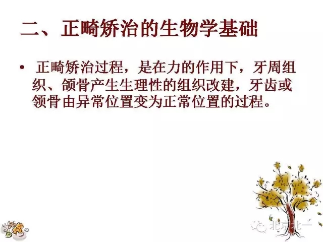 30.webp.jpg 30.webp.jpg