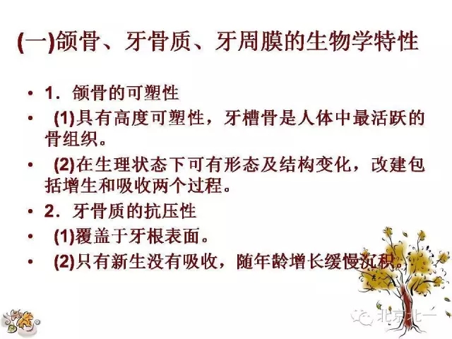 31.webp.jpg 31.webp.jpg