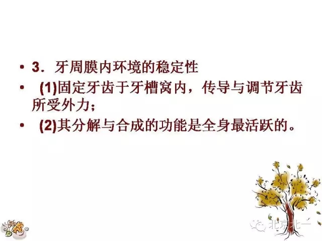 32.webp.jpg 32.webp.jpg