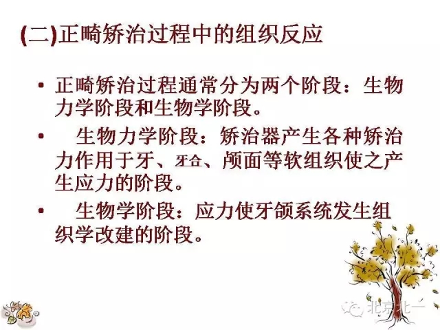 33.webp.jpg 33.webp.jpg