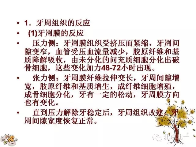 34.webp.jpg 34.webp.jpg