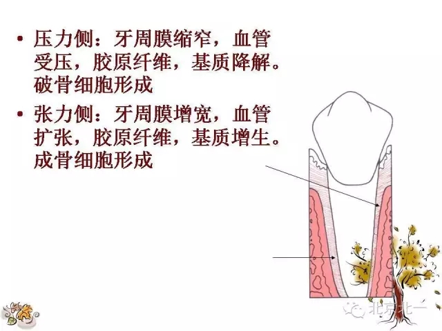 35.webp.jpg 35.webp.jpg