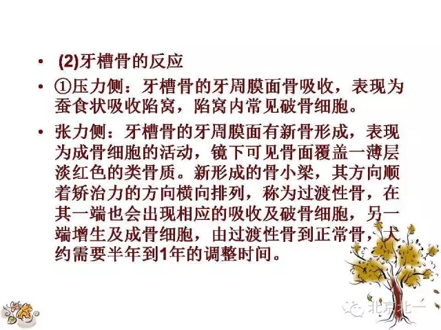 36.webp.jpg 36.webp.jpg