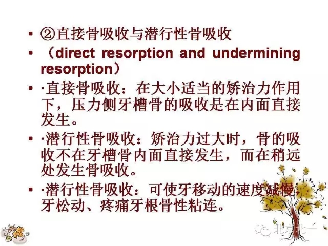 37.webp.jpg 37.webp.jpg