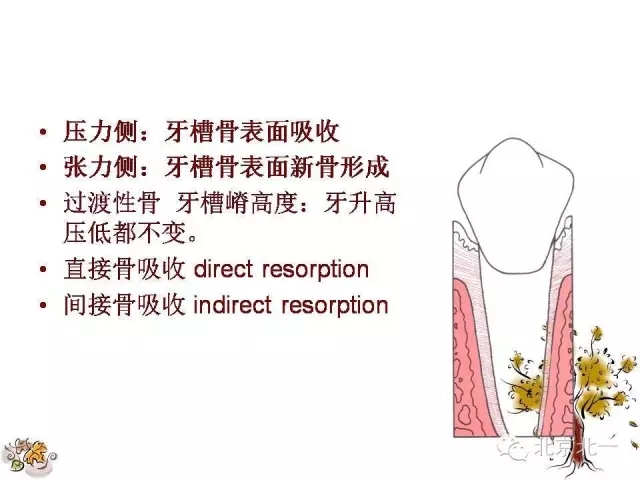 38.webp.jpg 38.webp.jpg