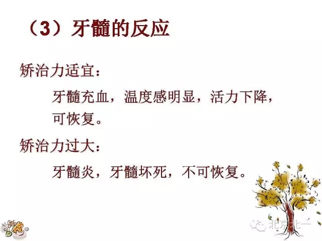 39.webp.jpg 39.webp.jpg