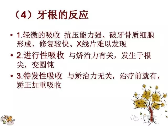 40.webp.jpg 40.webp.jpg