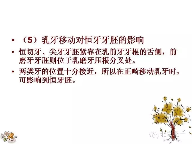 41.webp.jpg 41.webp.jpg