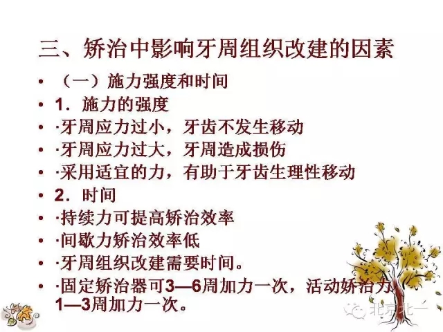 42.webp.jpg 42.webp.jpg