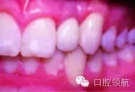 8.webp.jpg 8.webp.jpg