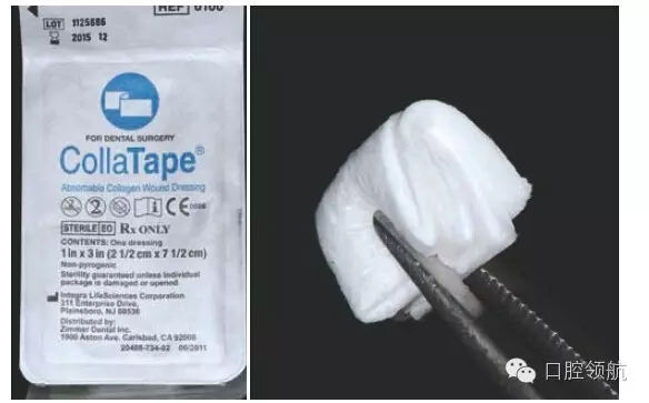 7.webp.jpg 7.webp.jpg