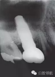 2.webp.jpg 2.webp.jpg