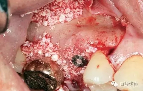 7.webp.jpg 7.webp.jpg