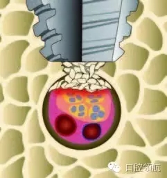 8.webp.jpg 8.webp.jpg