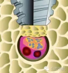 9.webp.jpg 9.webp.jpg