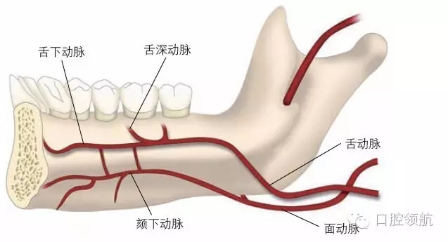 7.webp.jpg 7.webp.jpg