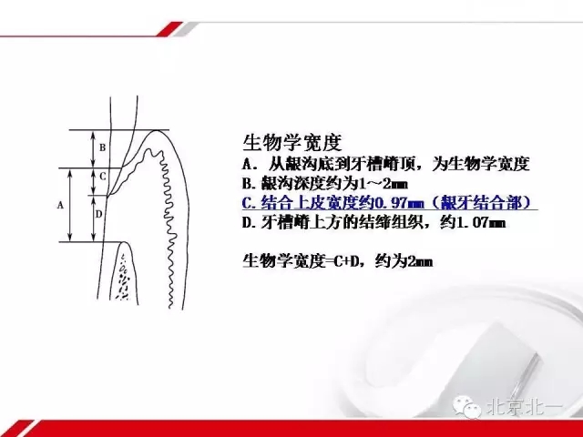 640.webp (4).jpg 640.webp (4).jpg