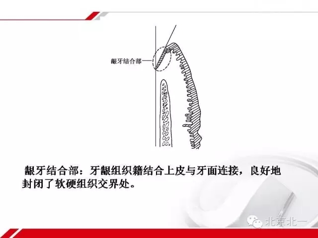 640.webp (5).jpg 640.webp (5).jpg