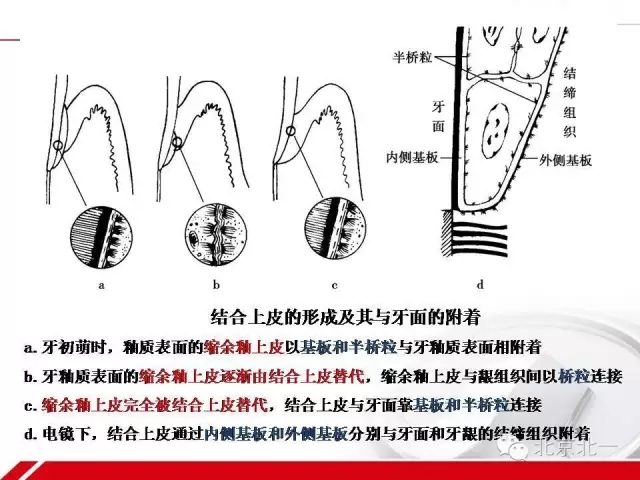 640.webp (8).jpg 640.webp (8).jpg