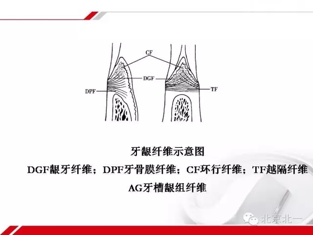 640.webp (9).jpg 640.webp (9).jpg