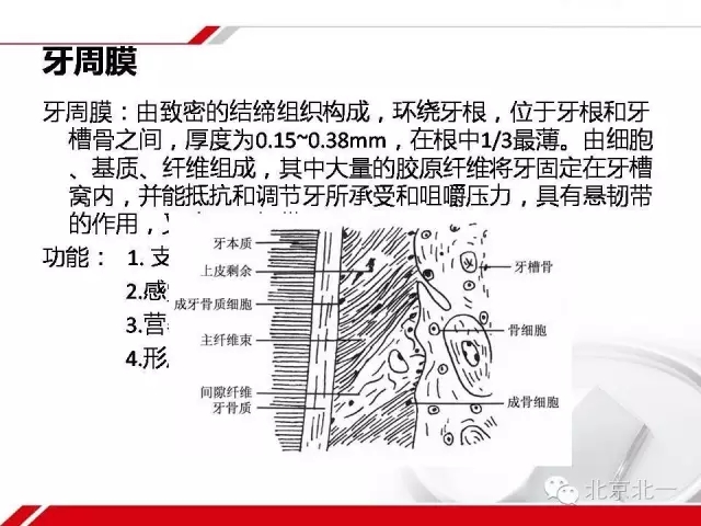 640.webp (10).jpg 640.webp (10).jpg