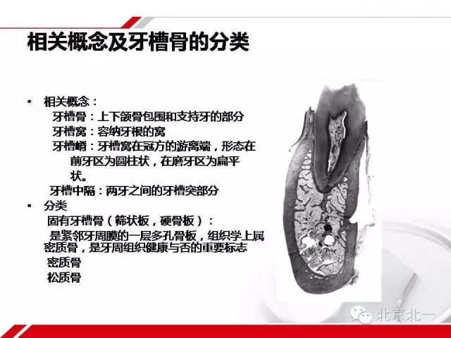 640.webp (15).jpg 640.webp (15).jpg