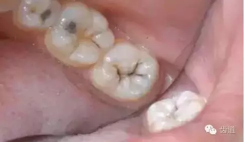 1.webp.jpg 1.webp.jpg