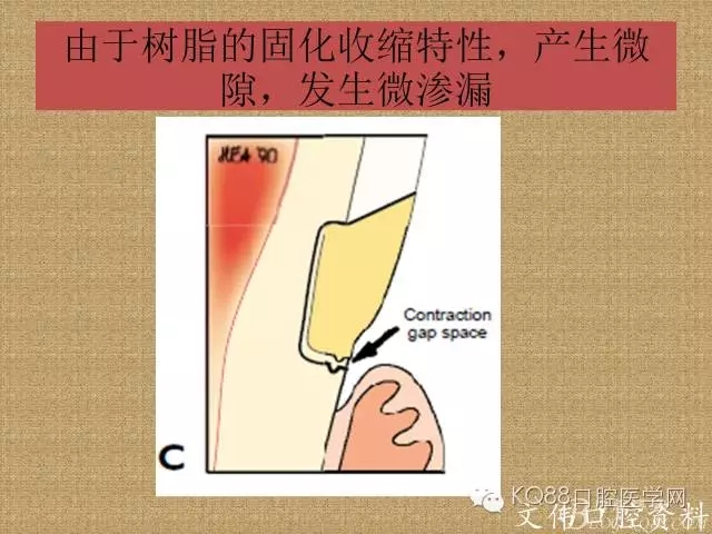 640.webp (13).jpg 640.webp (13).jpg