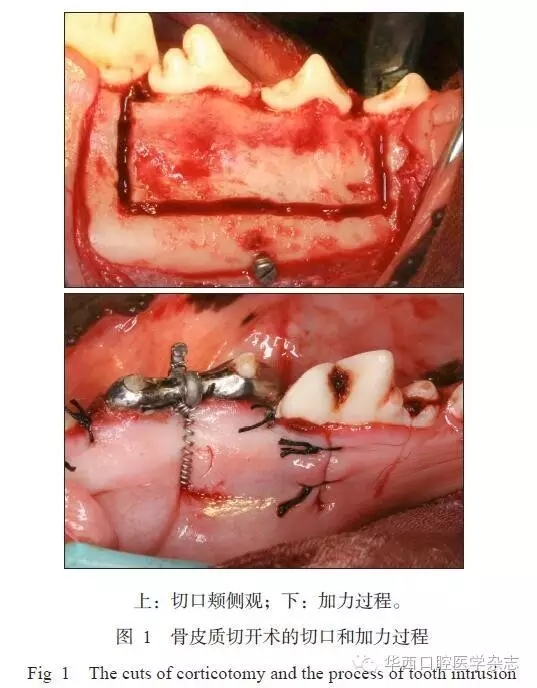 1.webp.jpg 1.webp.jpg